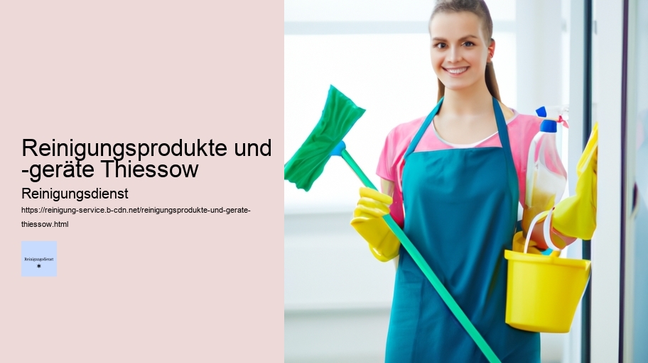Reinigungsprodukte und -geräte Thiessow
